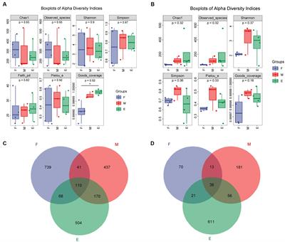 Insights into the influence of physicochemical parameters on the microbial community and volatile compounds during the ultra-long fermentation of compound-flavor Baijiu